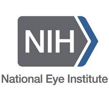NEI logo